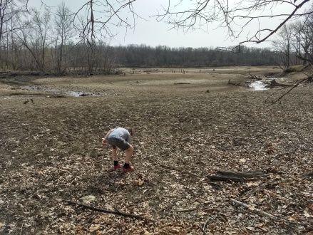 Dried lake bed