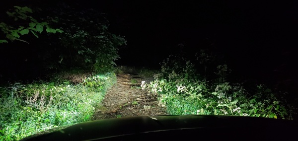 Driving to wooded camp site.