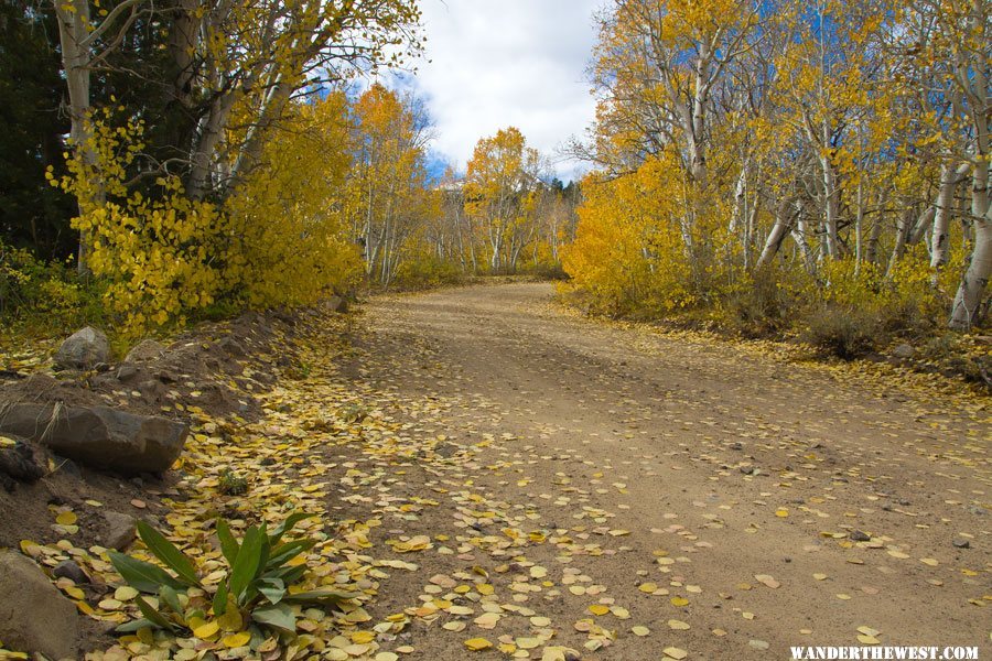 Dunderburg Meadows Road