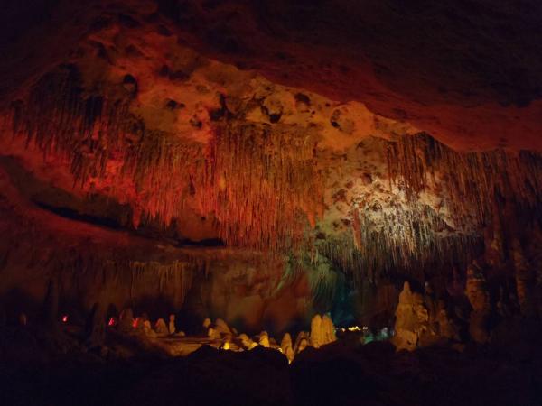 during our flashlight tour, our guide turned on the lights in the "Round Room" - Florida Caverns SP - Memorial Day wkd