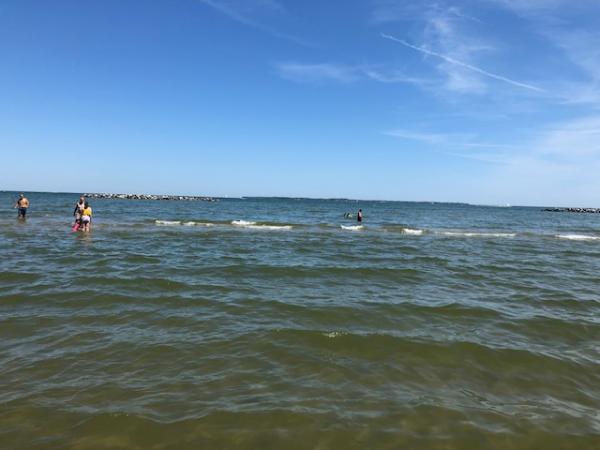 East Harbor SP Beach - Lake Erie Looking East
These pictures are from our August 20th, 2020 trip. Wish I had more pictures from EHSP, very nice facili