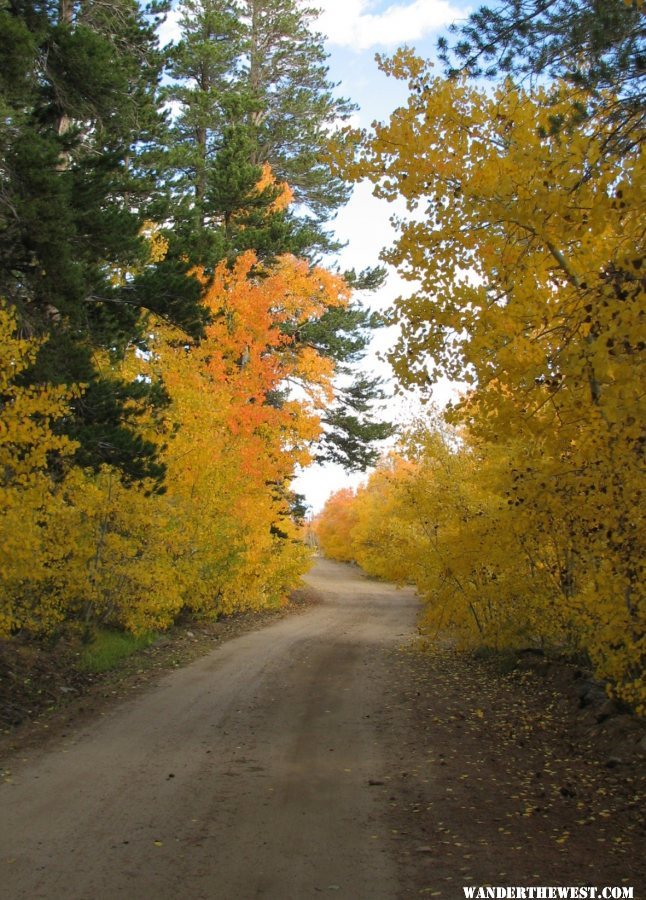 Eastern sierras fall colors