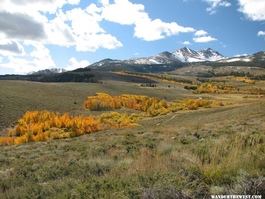 Eastern sierras fall colors