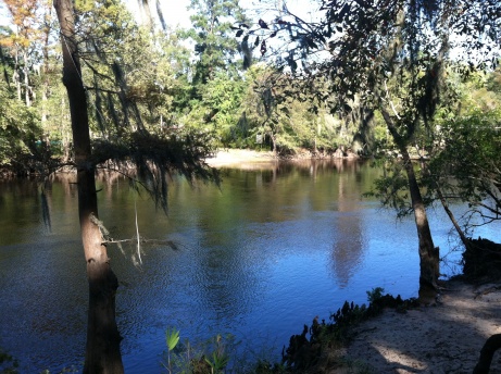 Edisto River, 50 yards from the campsite.