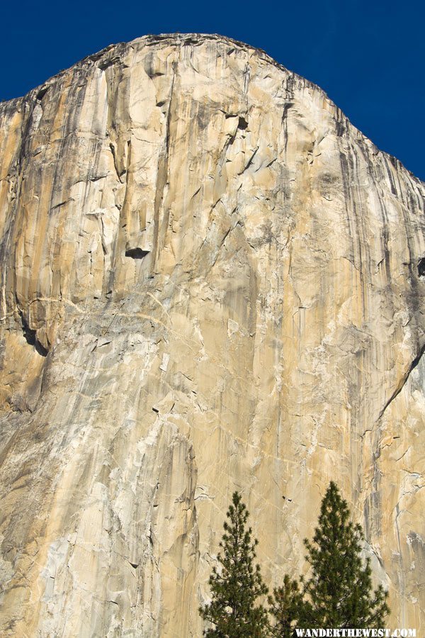 El Capitan Climbers