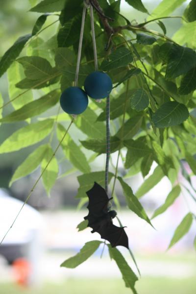 Enjoyed these decorations left in a tree by prior occupants of our campsite at Potato Creek SP. Couldn't help but imagine the parents tearing apart th