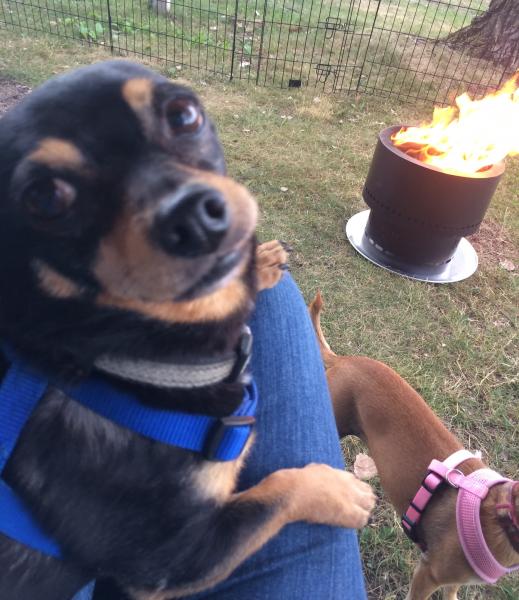 Enjoying a campfire in Western MI.