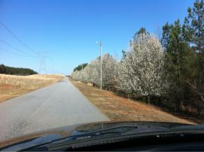 Entrance to Crooked Creek