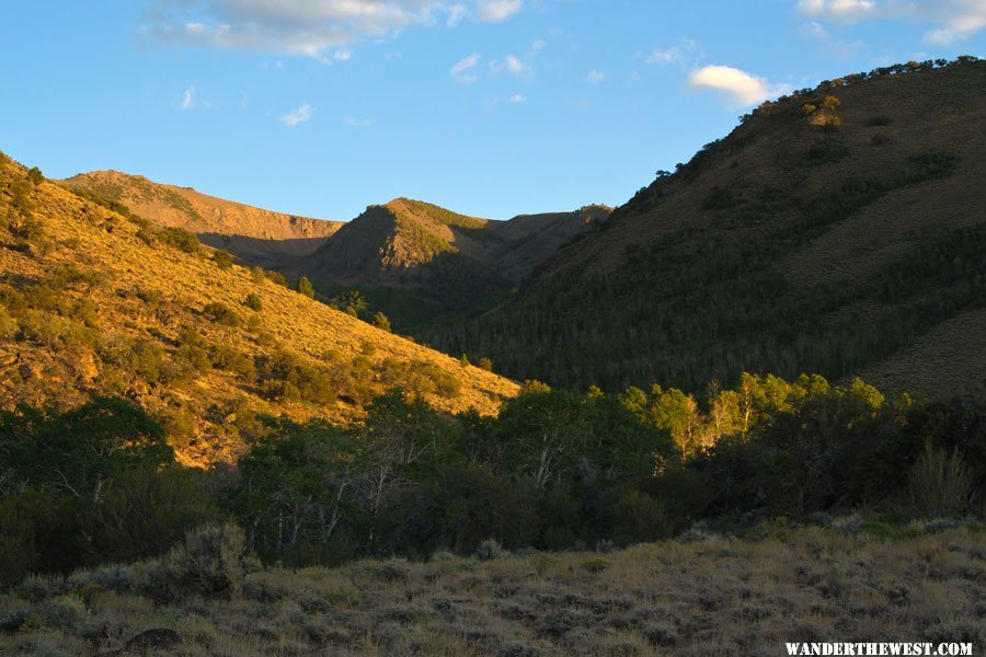 Evening Light at Stewart Creek