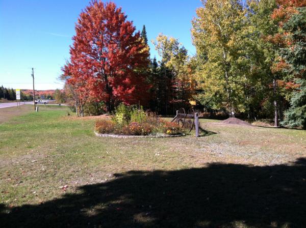 Fall colors at our place in Chassell, Mi.