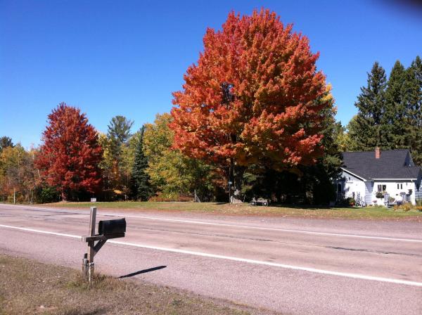 Fall colors at our place in Chassell