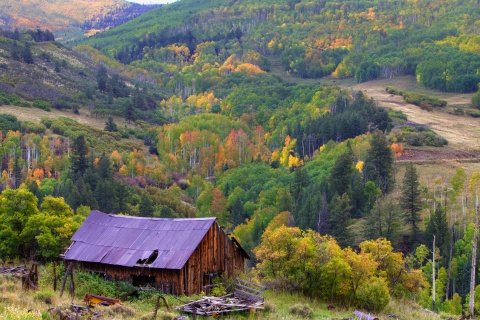 Fall Homestead