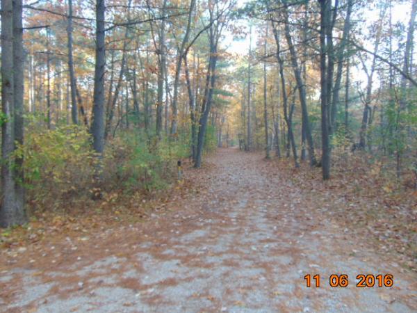 Fall @ The Pinery. Riverside 4, just a few weeks earlier was full, this weekend, you can hear a pin drop. Nice to walk there once closed, get to enjoy