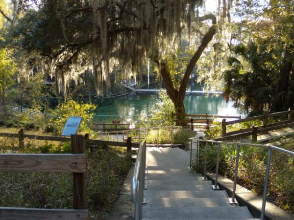 Fanning Springs Swim Area