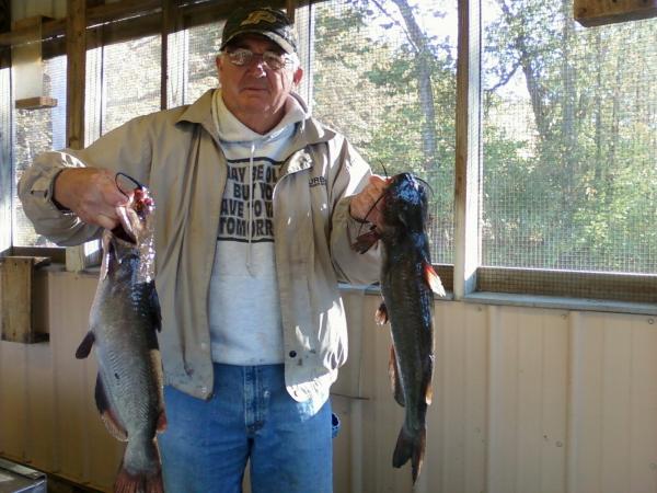 Father-in-laws Limb line cats from Glendale FWA  Indiana   Oct. 2011