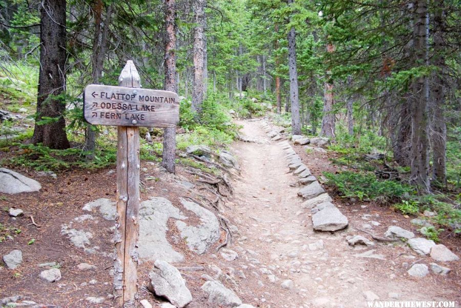 Fern Lake Trail