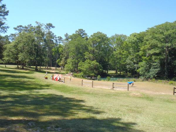 field next to Blue Hole - Florida Caverns SP - Memorial Day wkd