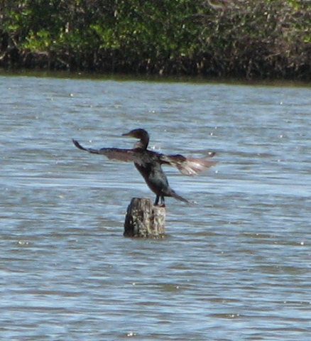 Florida_2010-20-1