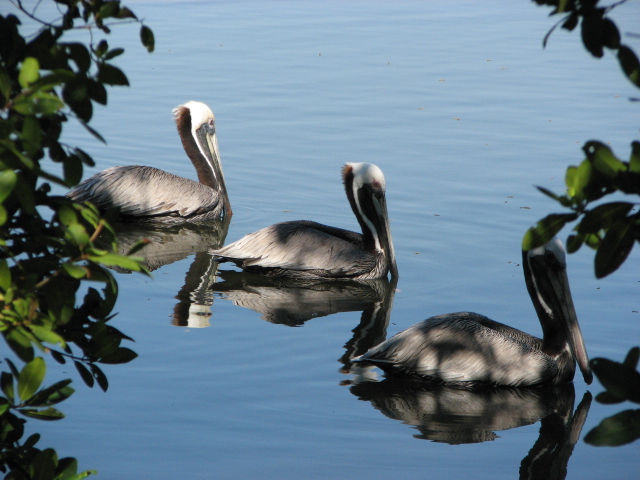 Florida_2010-9