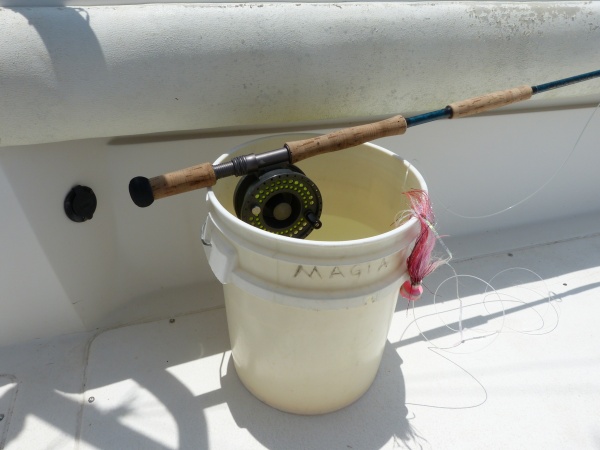 Fly rod waiting for billfish action