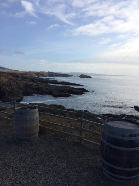 Fort Bragg Coastline