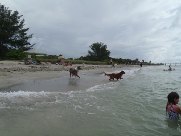 Fort De Soto, St. Petersburg, FL - June 29