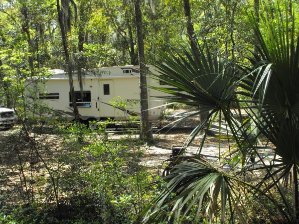 Fort McAllister State Park, GA Really cool fauna in the campground