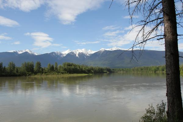 fraser river near mcBride