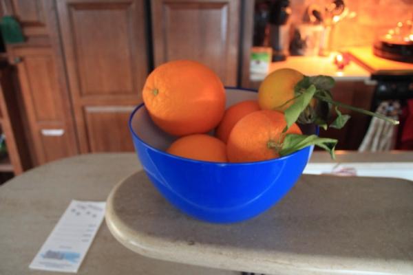 Fresh picked oranges from Orange Grove RV Park in Bakersfield, CA