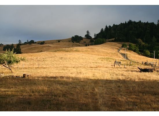 Friend's ranch in Kneeland