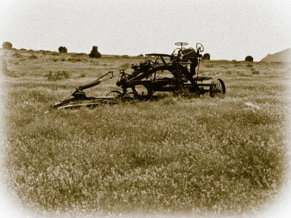 From days gone by - a horse drawn road grader along the road to Toroweap