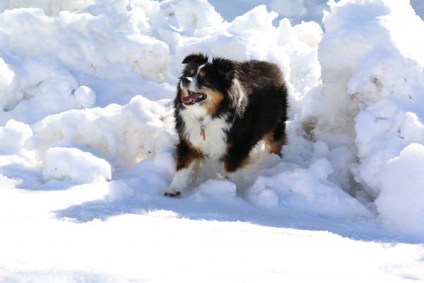 Getting ready to catch a snowball!