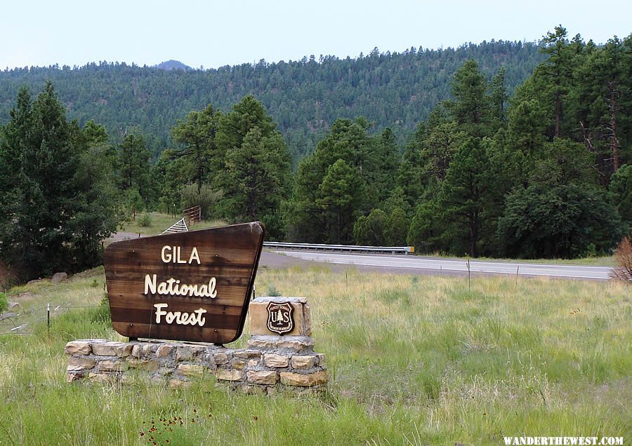 Gila National Forest