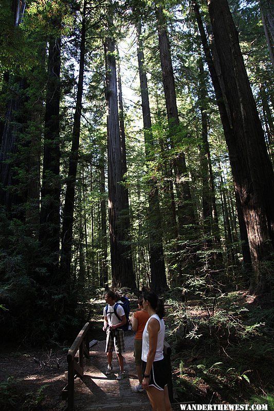 Gould Grove Nature Trail