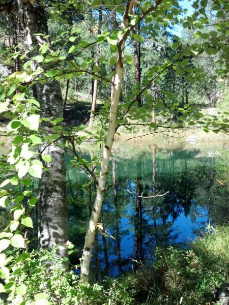 Grace Coolidge Trail