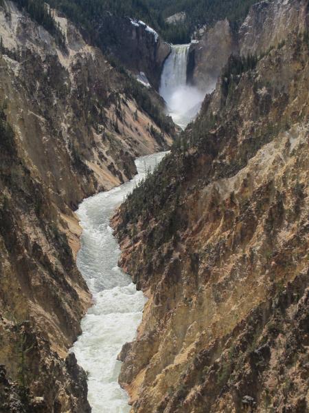 Grand Canyon of Yellowstone