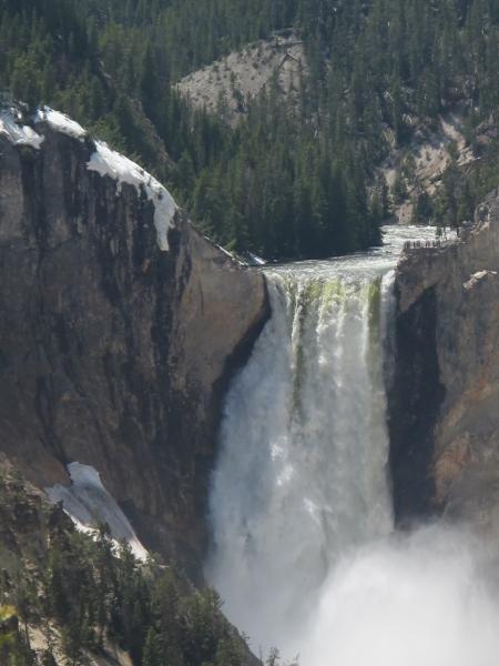 Grand Canyon of Yellowstone