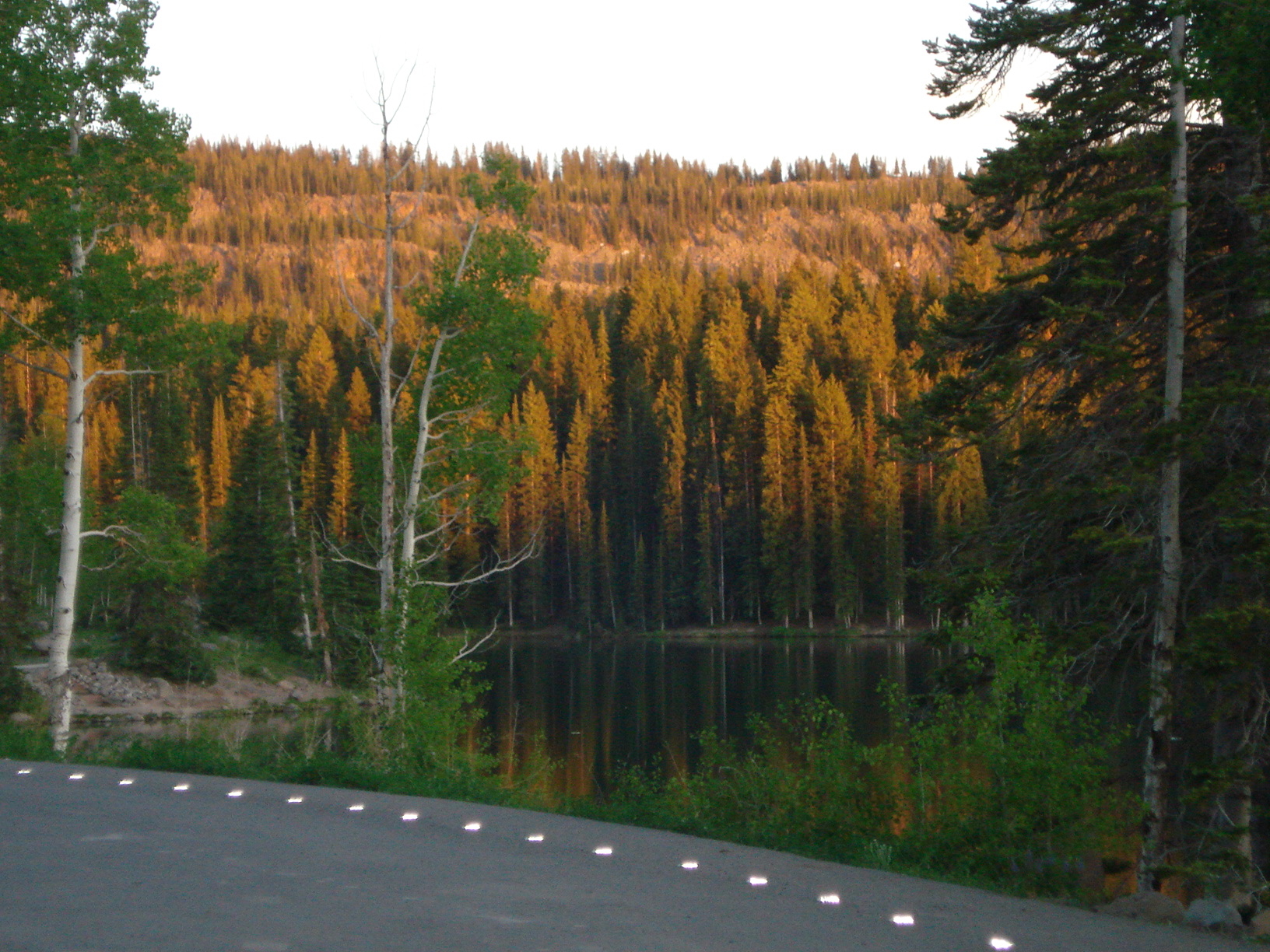 Grand Mesa Lakes National Forest, CO.