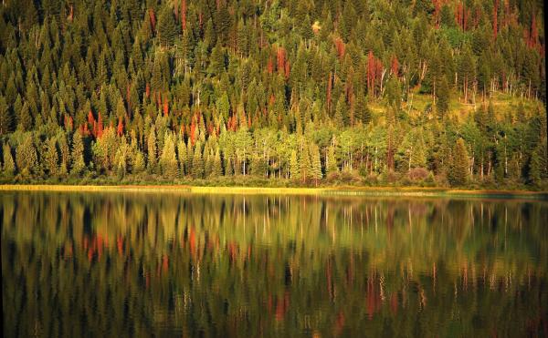 Grave Lake 12007 08 15 20 18 26 1