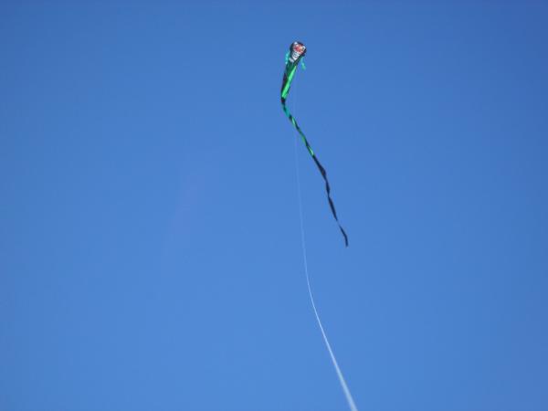 Great beach day...30' kite on the end of 100' of string. 
1 of 6 kites that I flew this particular day.  Carrabelle Beach, FL Oct. 2015