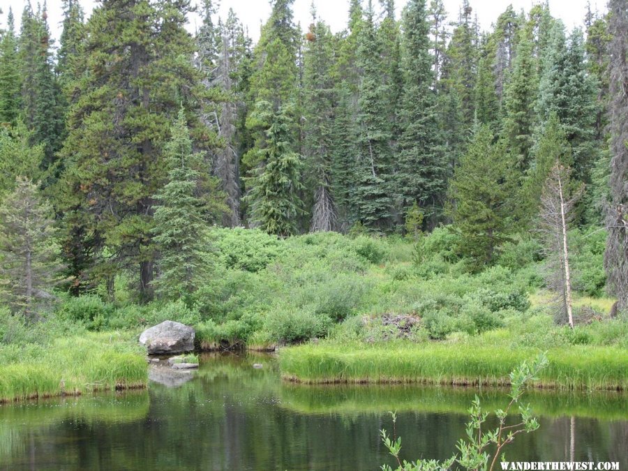 Green River- Tweedsmuir PP