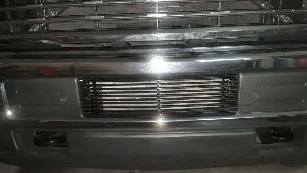 Grill insert