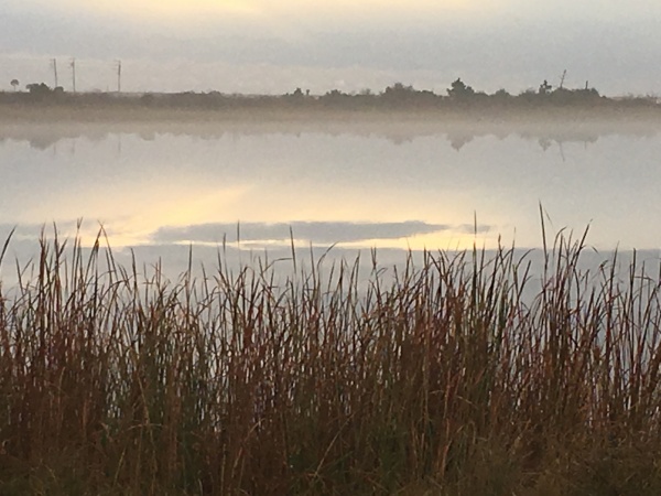 Gulf State Park Lake