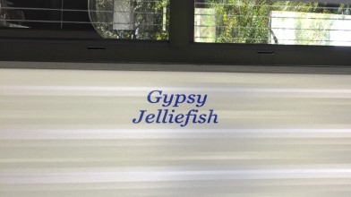 Gypsy Jeffliefish (2)