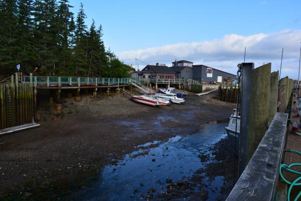 Halls Harbour