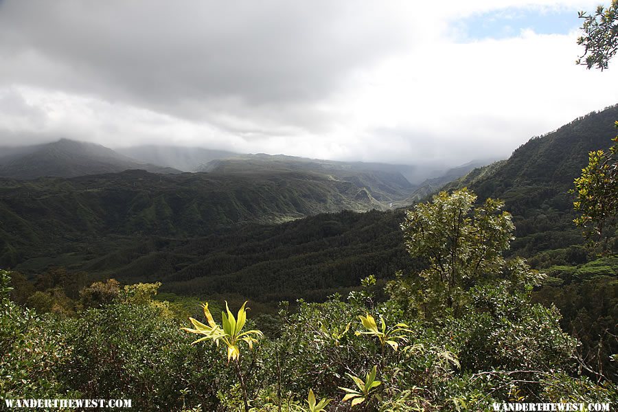 Hanalei Okolehao Trail