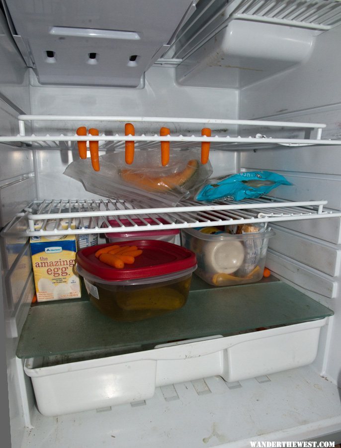 Hanging carrots