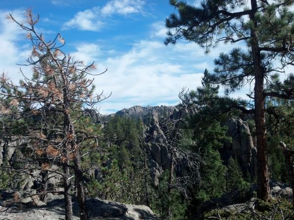 Harney Peak in the distance