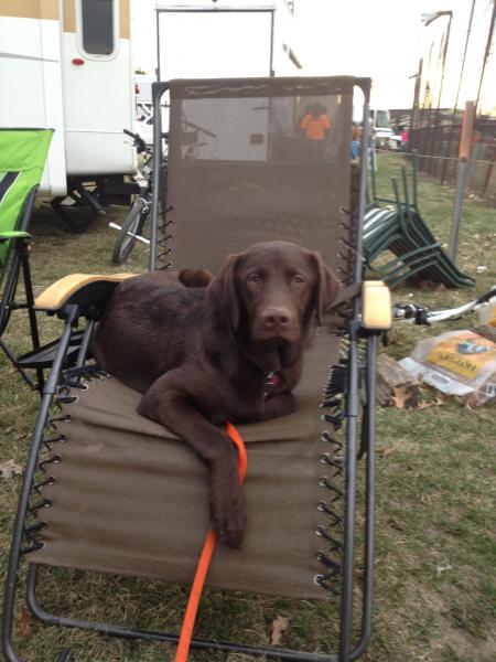 he is getting older, but still wont give my chair back to me