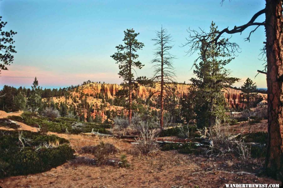 Heading from the North Campground to the Rim Trail one winter morning.